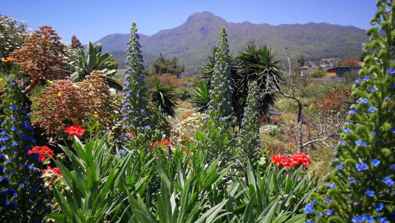 Finca Primavera El Paso Exterior foto